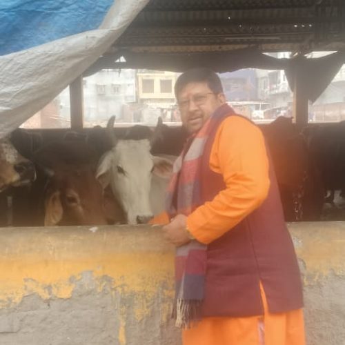 cow seva